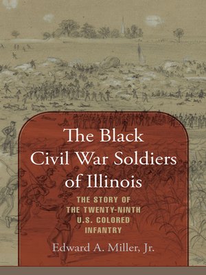 cover image of The Black Civil War Soldiers of Illinois